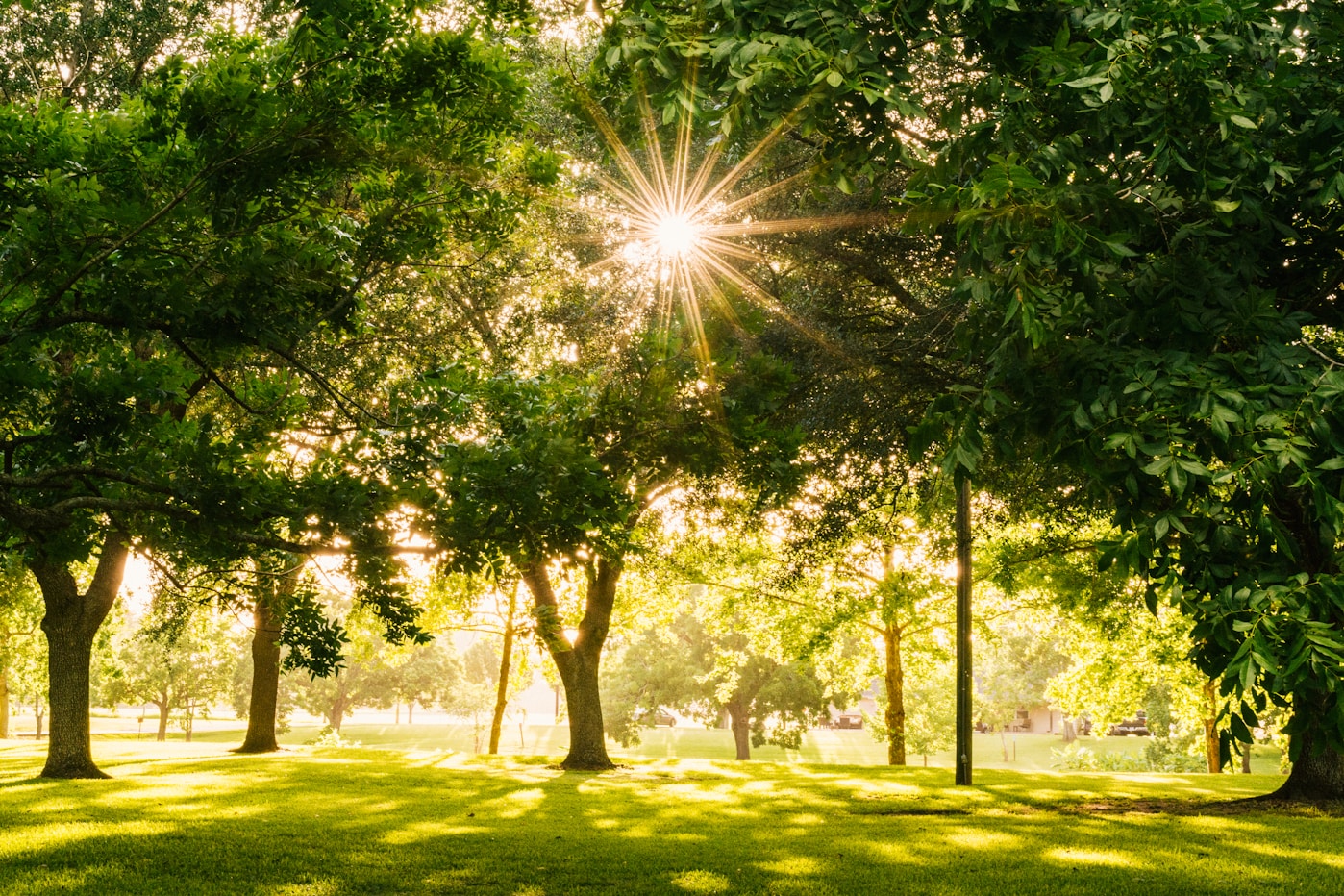 Morton Arboretum
