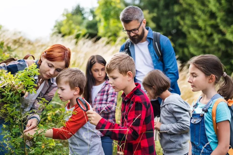 How to Plan a Field Trip in Chicago