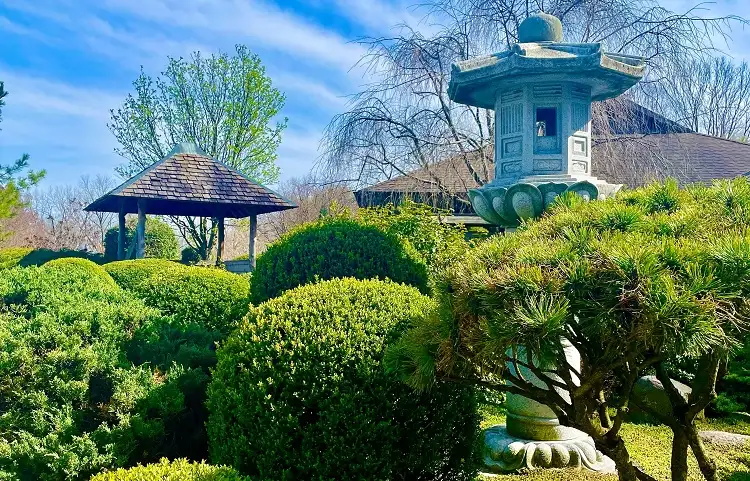 University of Illinois Arboretum