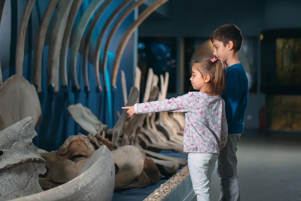 Immerse Yourself in Local History and Nature