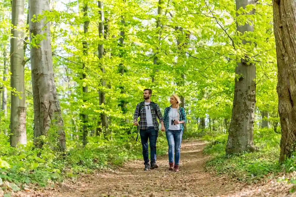 Hidden Lakes Historic Trout Farm: Natural Beauty and Fun