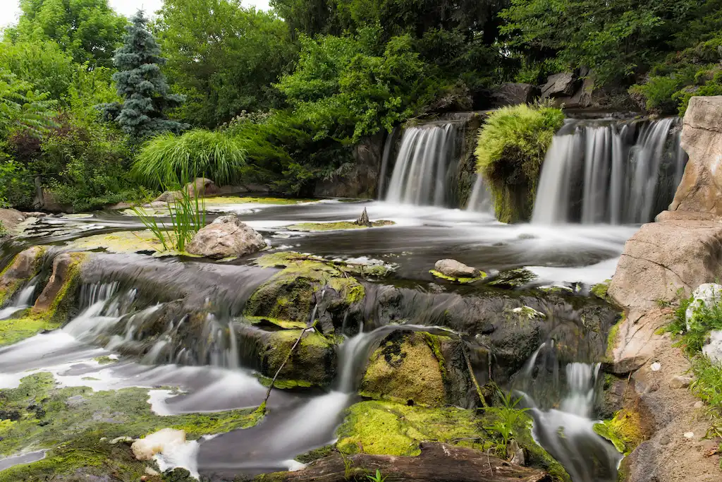 Revel in Nature’s Beauty Close by