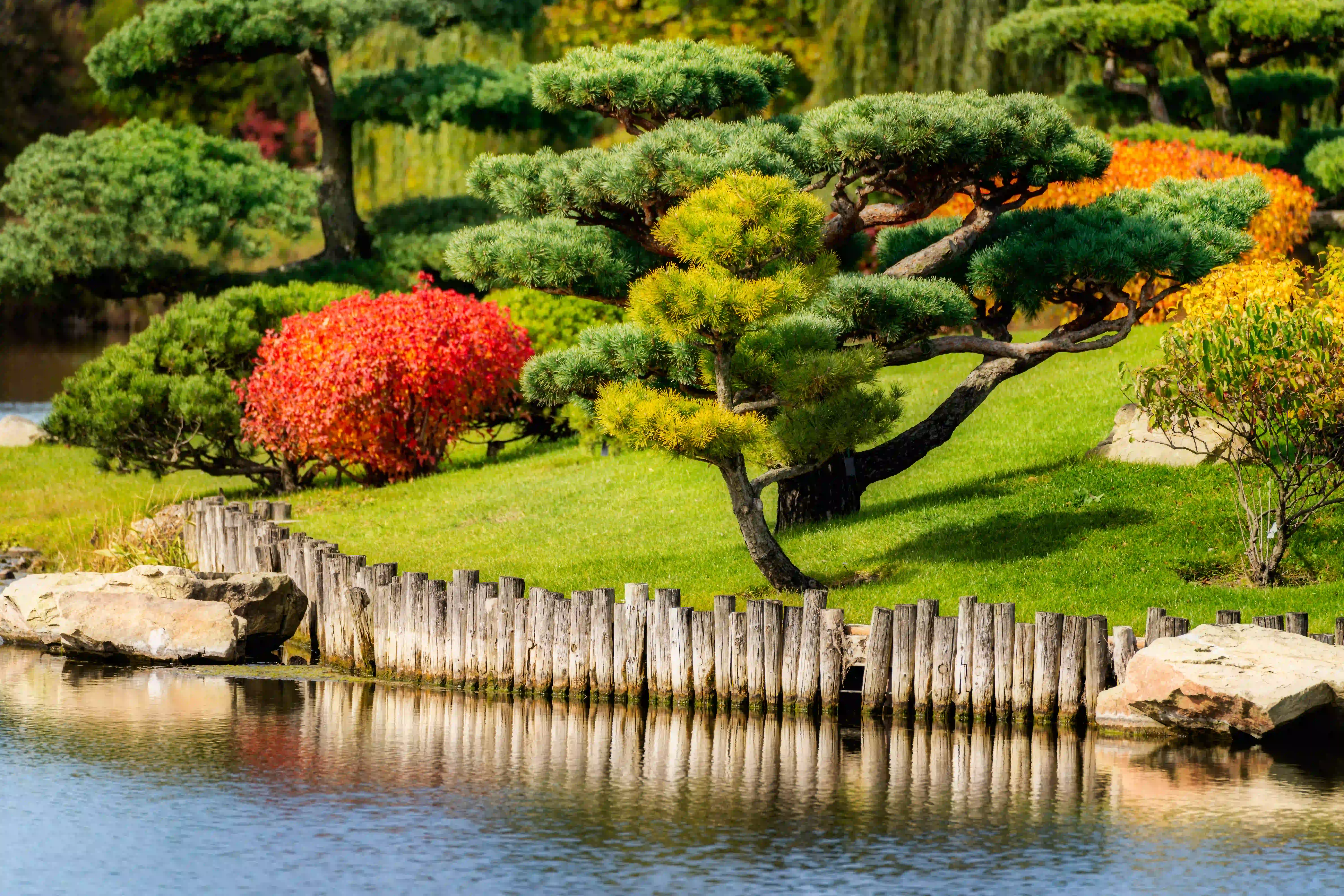 Nature's Wonderland: Chicago Botanic Garden