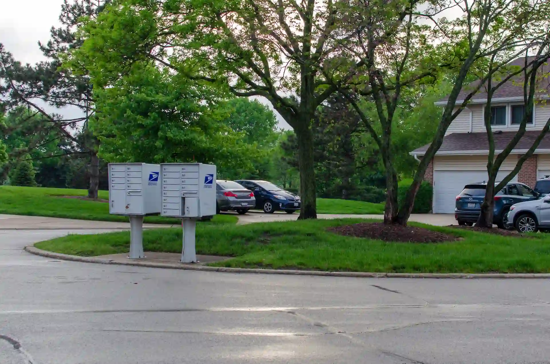 Buffalo Grove