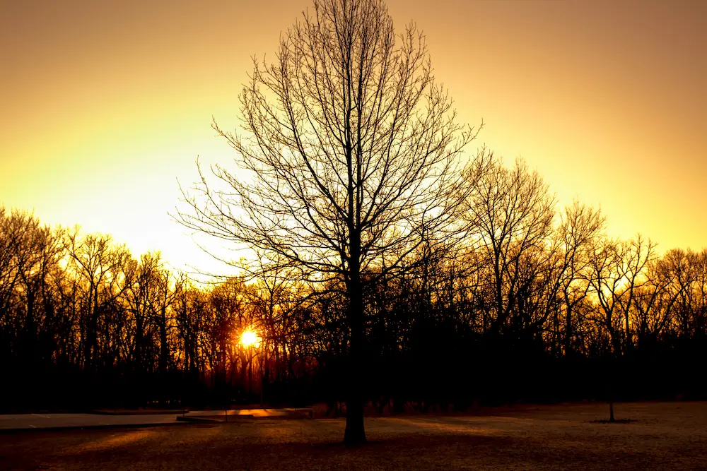 Schiller Park
