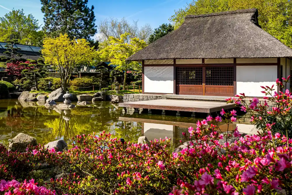 Anderson Japanese Gardens