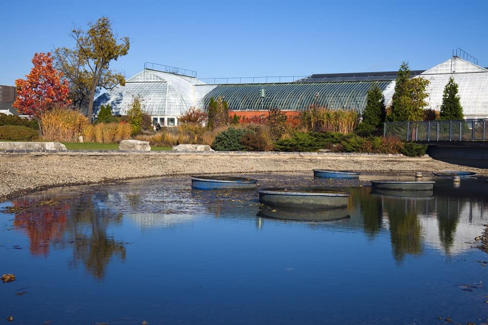 Garfield Park Conservatory