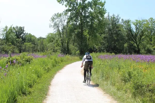 Outdoor Adventures in North Chicago: Greenbelt Forest Preserve