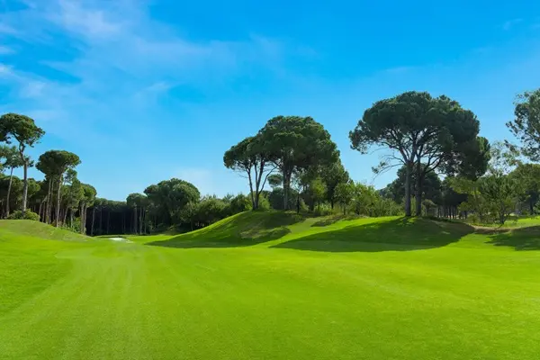 Pine Meadow Golf Club