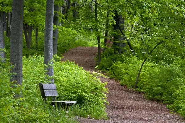 Huntley Park District: Your Recreational Oasis