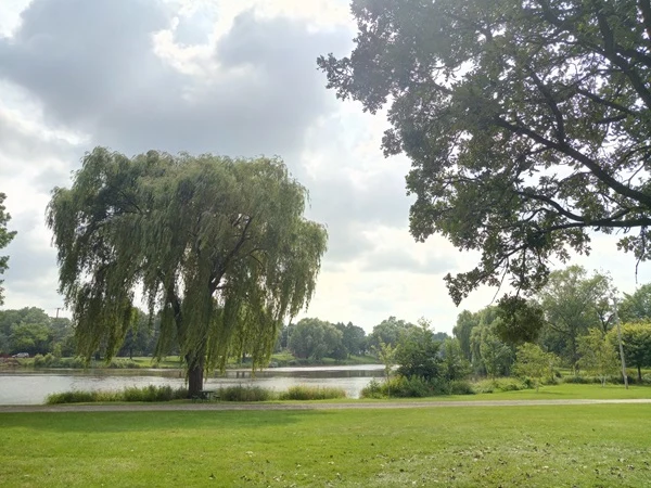 Jones Island Park