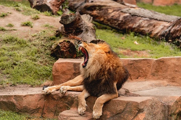 Brookfield Zoo