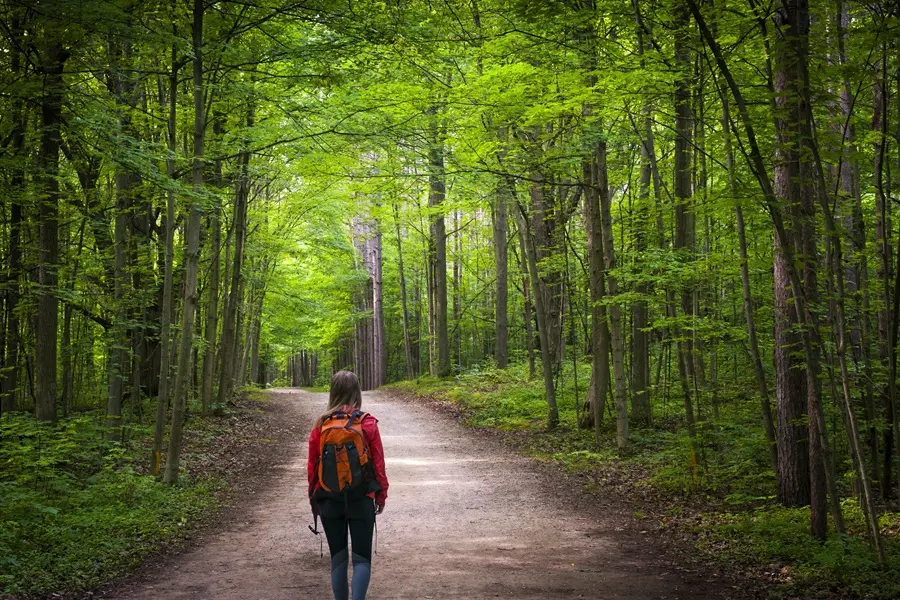 Ryerson Woods Conservation Area