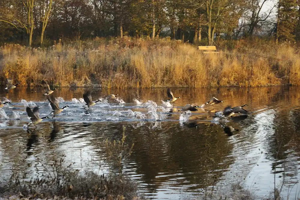 Lake Katherine Nature Center