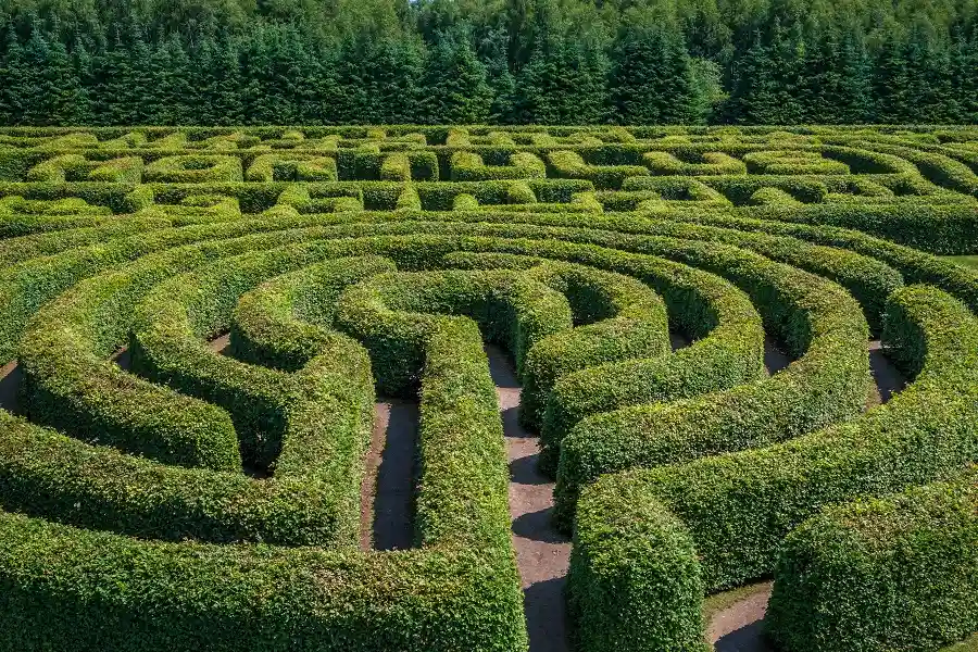 Morton Arboretum