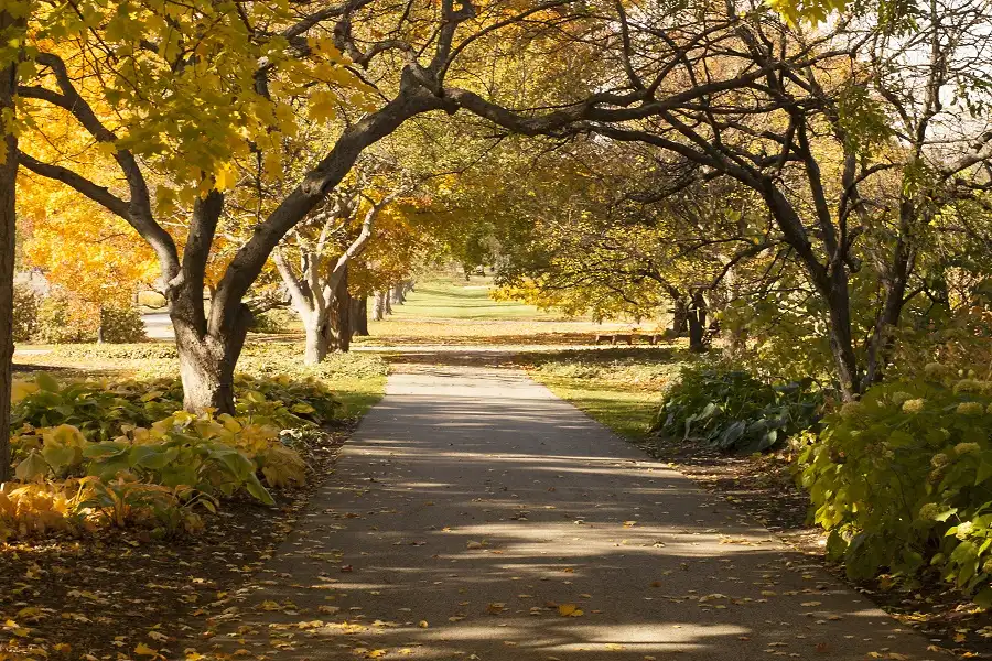Cantigny Park