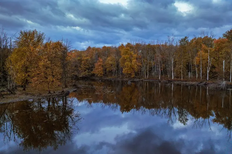 The Skokie Lagoons